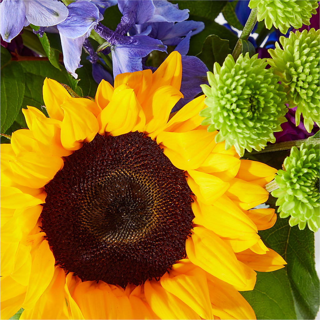 Catching Rays Bouquet – GARDEN GRACE FLORIST AND GIFTS, Warrenville SC