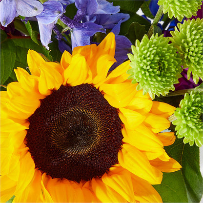 Catching Rays Bouquet – GARDEN GRACE FLORIST AND GIFTS, Warrenville SC