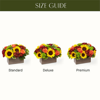Happy Harvest Garden – GARDEN GRACE FLORIST AND GIFTS, Warrenville SC