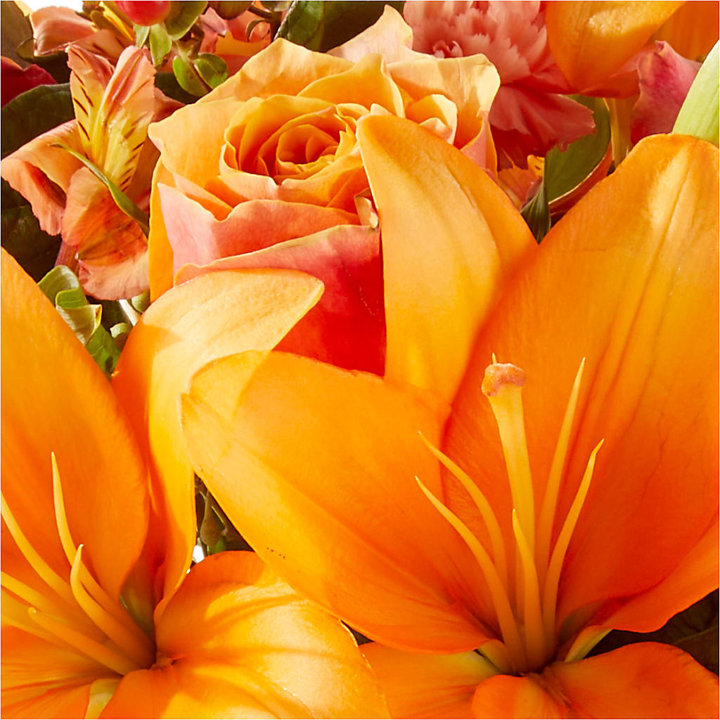 Afternoon Light Bouquet – GARDEN GRACE FLORIST AND GIFTS, Warrenville SC